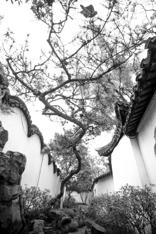 suzhou Qing Dynasty Canglang pavilion garden