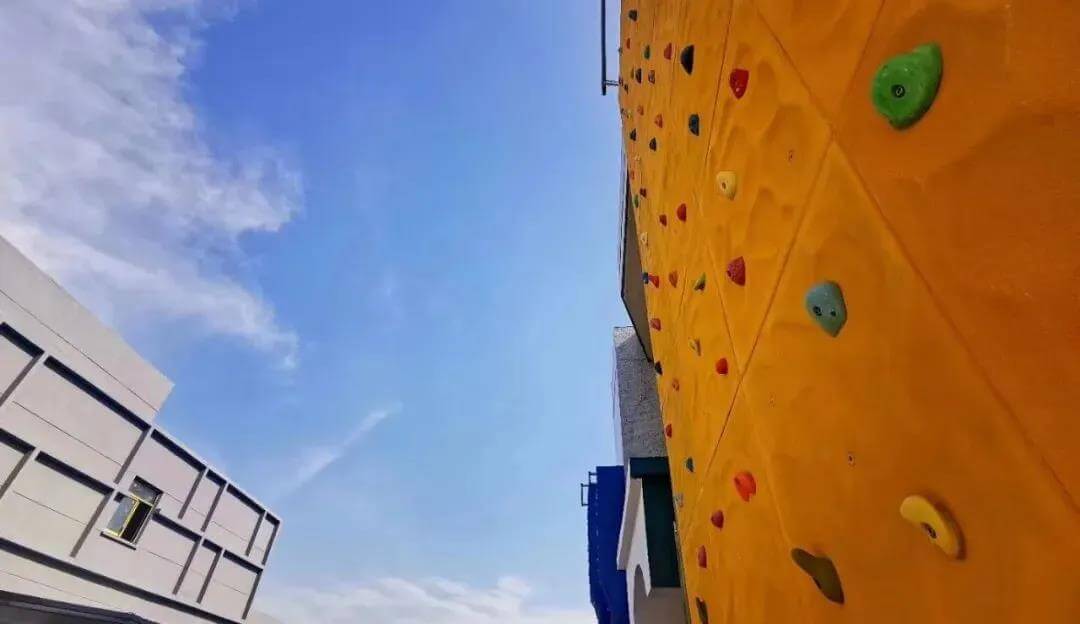 Blue·Sport climbing wall