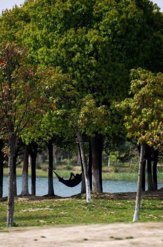 Suzhou family picnic spots Huqiu Wetland Park
