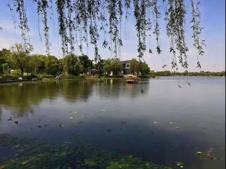 Suzhou family picnic spots Lianchihu Park