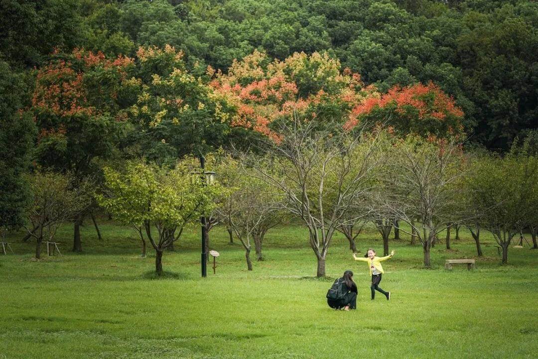 family picnic spots Shihu Scenic Area Grass filed
