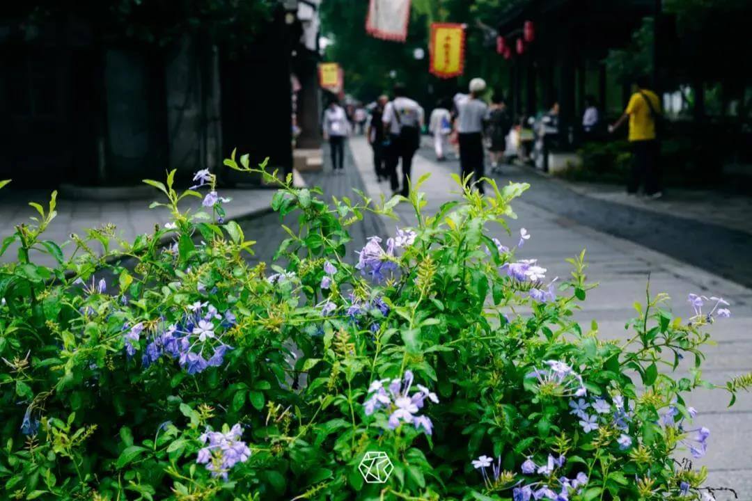 Suzhou Shantang street