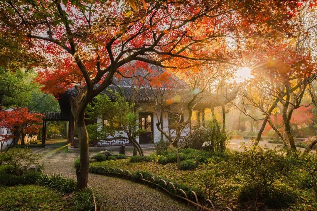 Suzhou autumn