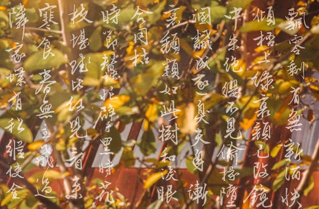 Suzhou collects the whole autumn with garden