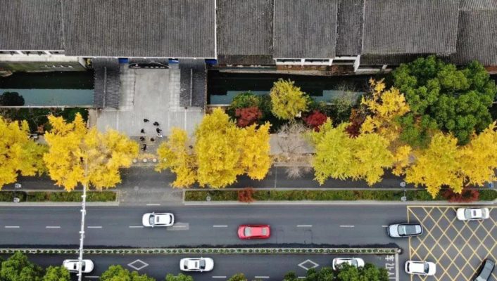 Suzhou autumn