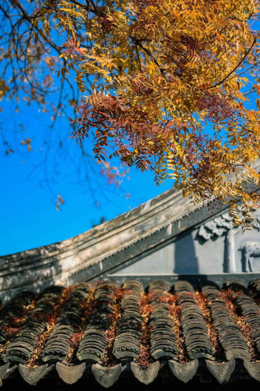 Suzhou Autumn Scene