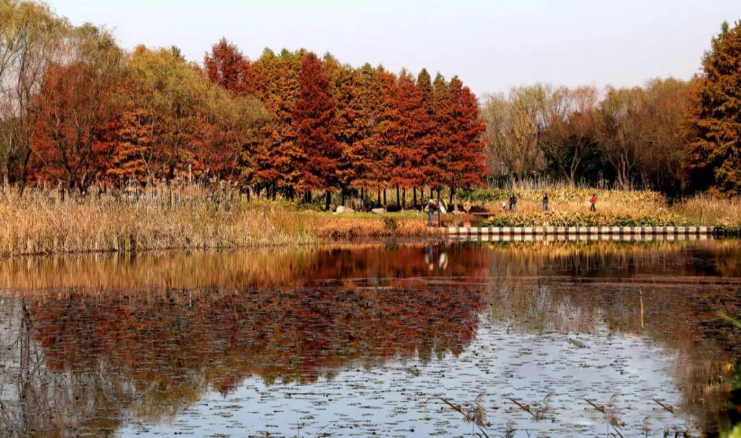 Suzhou Huqiu Wetland Park