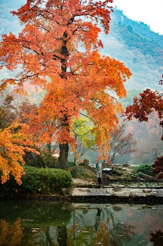suzhou autumn