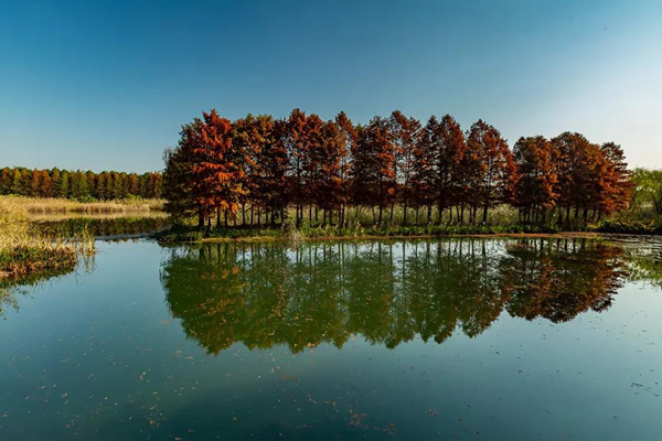 Suzhou Tiger Hill Wetland Park