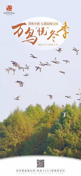 Birding Tour at Taihu Lake Wetland Park